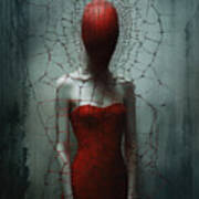 In The Red Widow's Web Art Print