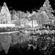 Ir Reflections In A Park Art Print