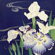 Irises, C1895 Art Print