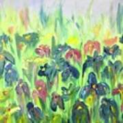 Irises In The Rain Art Print