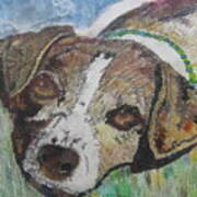 Jack Russel Dog Named Dexter Art Print