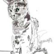 James Cat Art Print