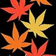 Japanese Maple Leaves Banner Art Print