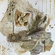 Rustic Collage Combining Multiple Natural Elements #4 Art Print