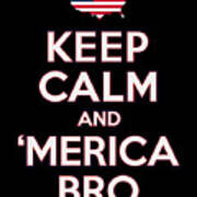 Keep Calm And Merica Bro 4th Of July Patriotic Art Print