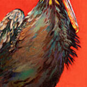 King Rex, A Louisiana Pelican Art Print