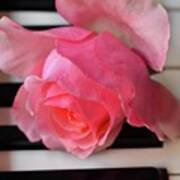 Kiss From A  Rose Maria Callas On The Piano Art Print