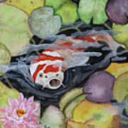 Koi Pond Art Print