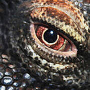 Komodo Dragon Eye Art Print