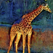 La Zoo Giraffe Art Print