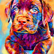 Labrador Puppy 4 Art Print