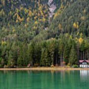 House In The Lake And Forest. Lago Di Dobbiaco Lake. Italian Aps Art Print