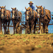 Landscape_amish Country Tour_imgl2018 Art Print