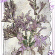 Lavender Lilac Fossil Floral Design Art Print