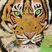 Tiger Le Tigre Magnifique Art Print