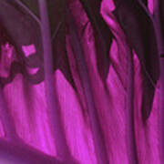 Leaf Detail 1 - Magenta Art Print