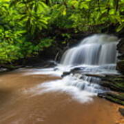 Lemon Creek Falls Art Print