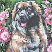Leonberger In The Peonies Art Print