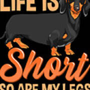 Black and Tan Dachshund Gifts for Dog Lovers Dachshund Art Print Life is Short So Are My Legs