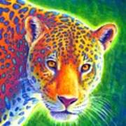 Light In The Rainforest - Jaguar Art Print