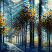 Light Through The Trees At A Blue Dawn Art Print