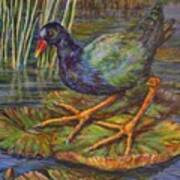 Lily Pad Bird Art Print