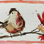 Lincolns Sparrow On A Maple Branch Art Print