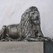 Lion At Trafalgar Art Print