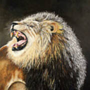 Lion Of Judah Art Print