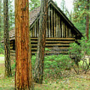 Log Cabin In The Woods Art Print