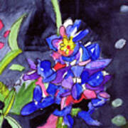 Vibrant Bluebonnet Art Print