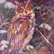 Long Eared Owl Art Print