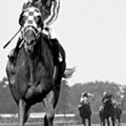 Looking Back, 1973,  Secretariat, Stretch Run, Belmont Stakes Art Print