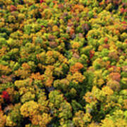 Looking Down On Vermont Fall Foliage 2022 Art Print