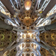 Looking Up At The Ceiling Of La Sagrada Familia Art Print