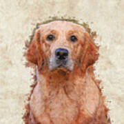 Lovely Red Golden Retriever Art Print