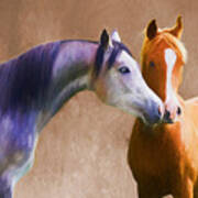 Loving Horse Couple Art Print