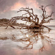 Low Tide Reflections Jeykll Island Dawn Beachhouse Hues Art Print