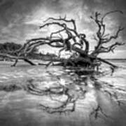 Low Tide Reflections Jeykll Island Dawn Black And White Art Print