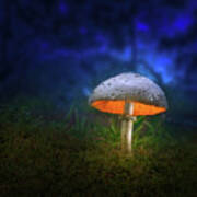 Luminescent Mushroom Art Print