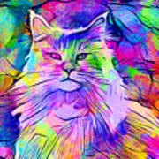 Maine Coon Cat Looking At Camera - Colorful Lines Digital Painting Art Print