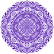Mandala Of Purple Pleasures Art Print