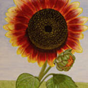 Mandy's Magnificent Sunflower Art Print