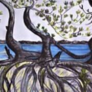 Mangroves Art Print