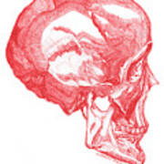 Marrow-red Skull Art Print
