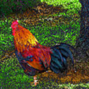 Mascot Rooster Azores Art Print