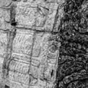 Mayan Wall Carvings - Chichen Itza Art Print