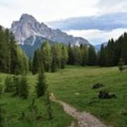 Meadow In The Dolomites Art Print
