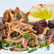 Meat Kabab Arabic Food With Kubus And Hummus Art Print