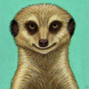 Meerkat Mob Boss Art Print